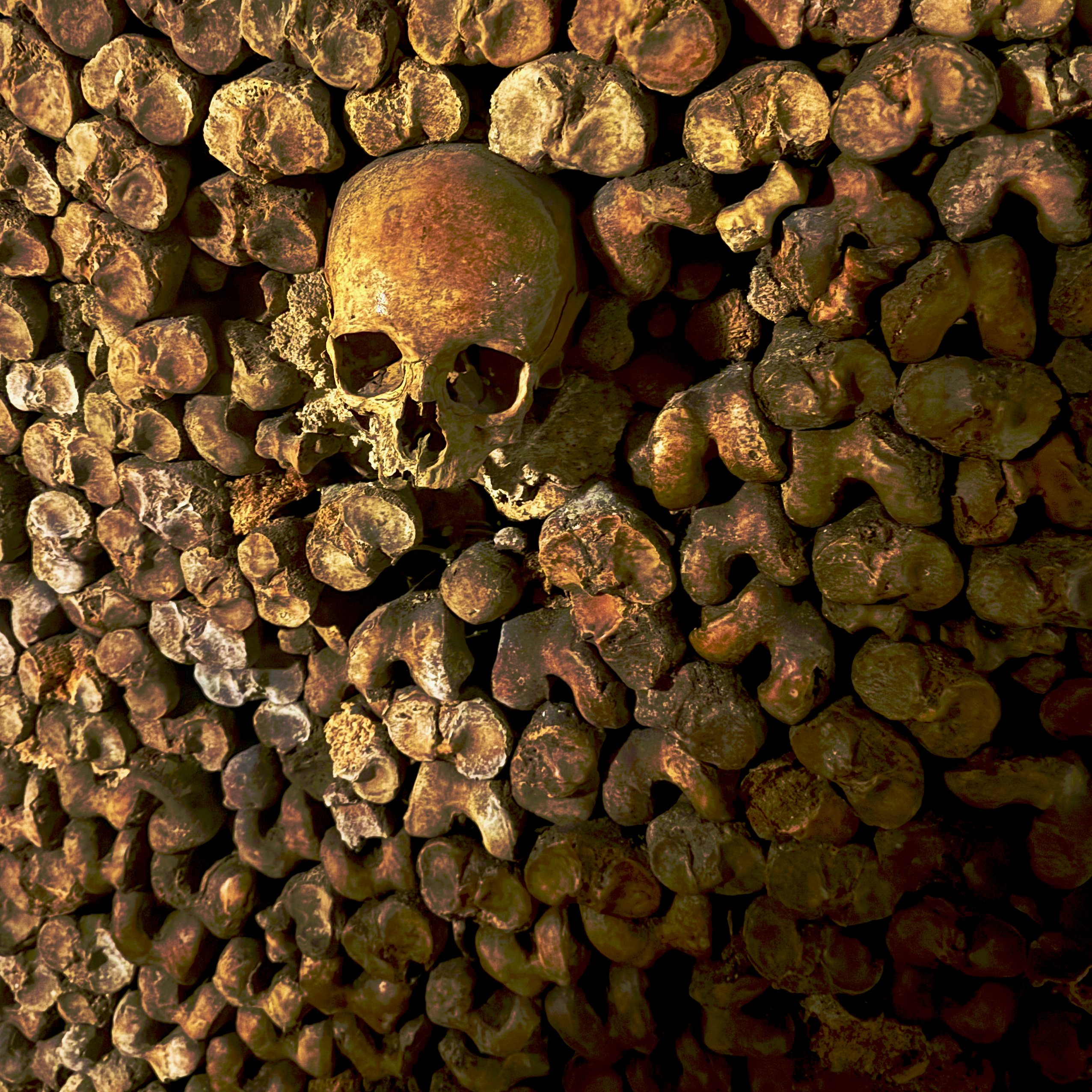 High-ROI Schedule System