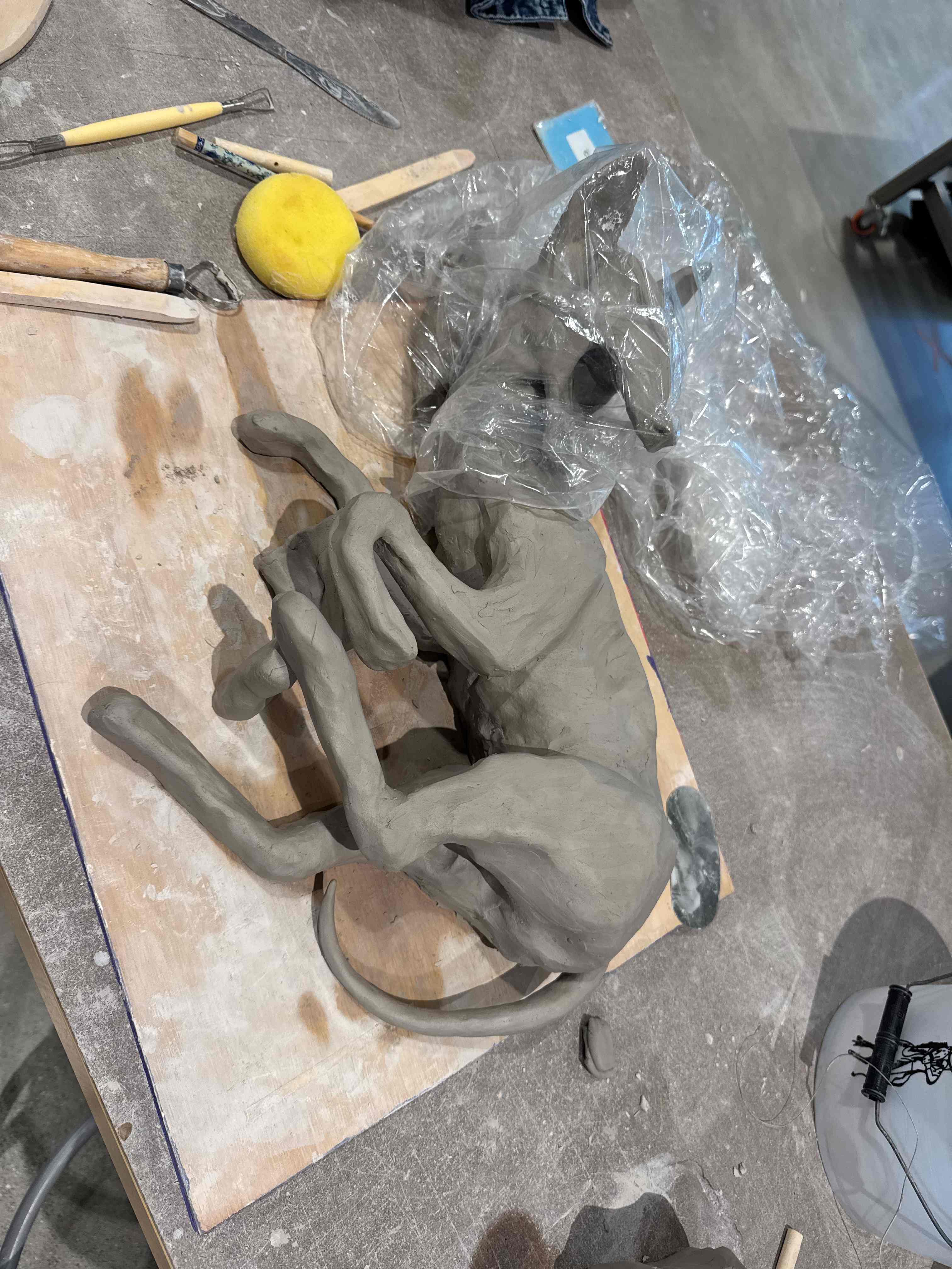 Coyote artwork - head and body