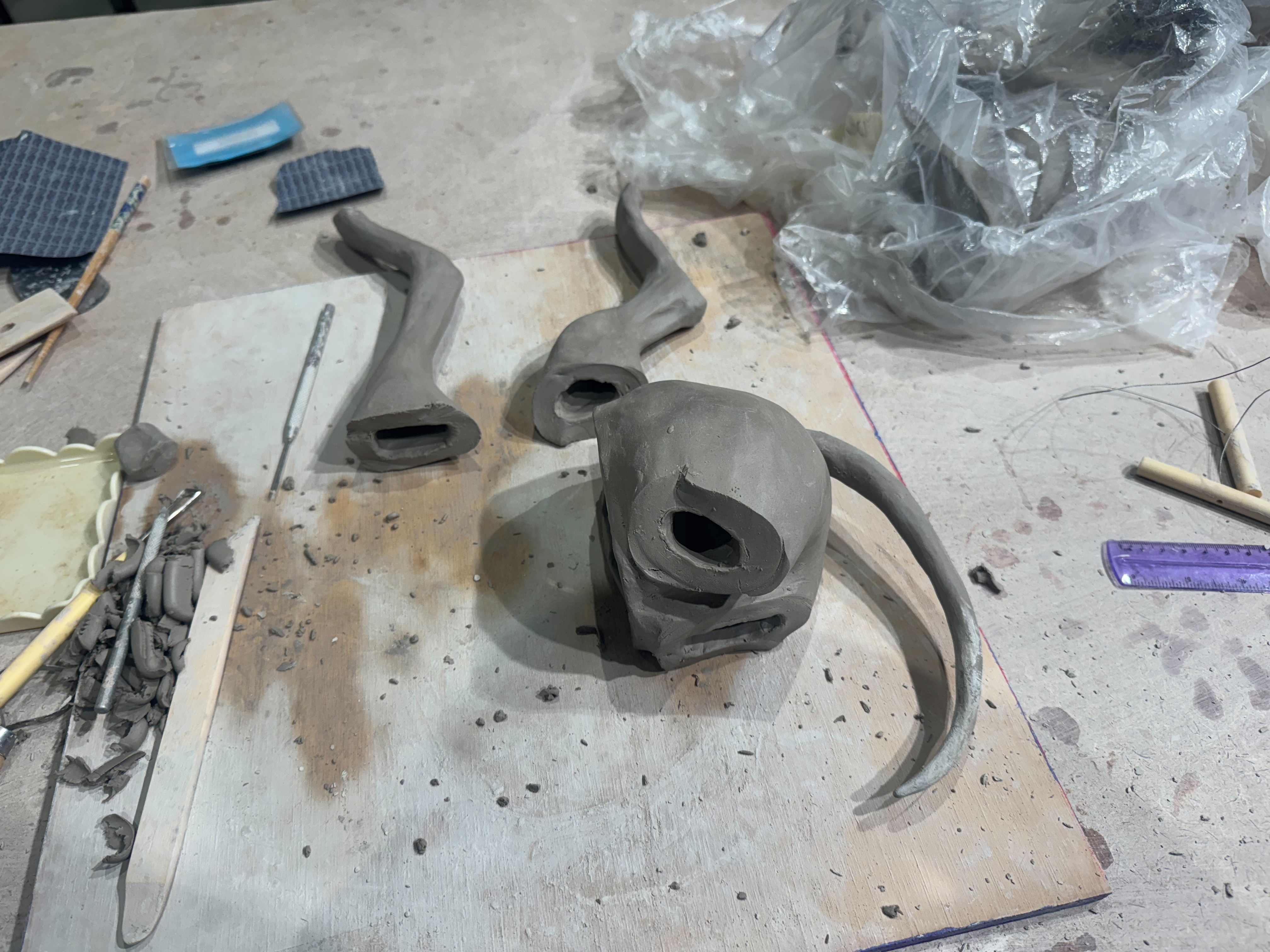 Image from The Coyote