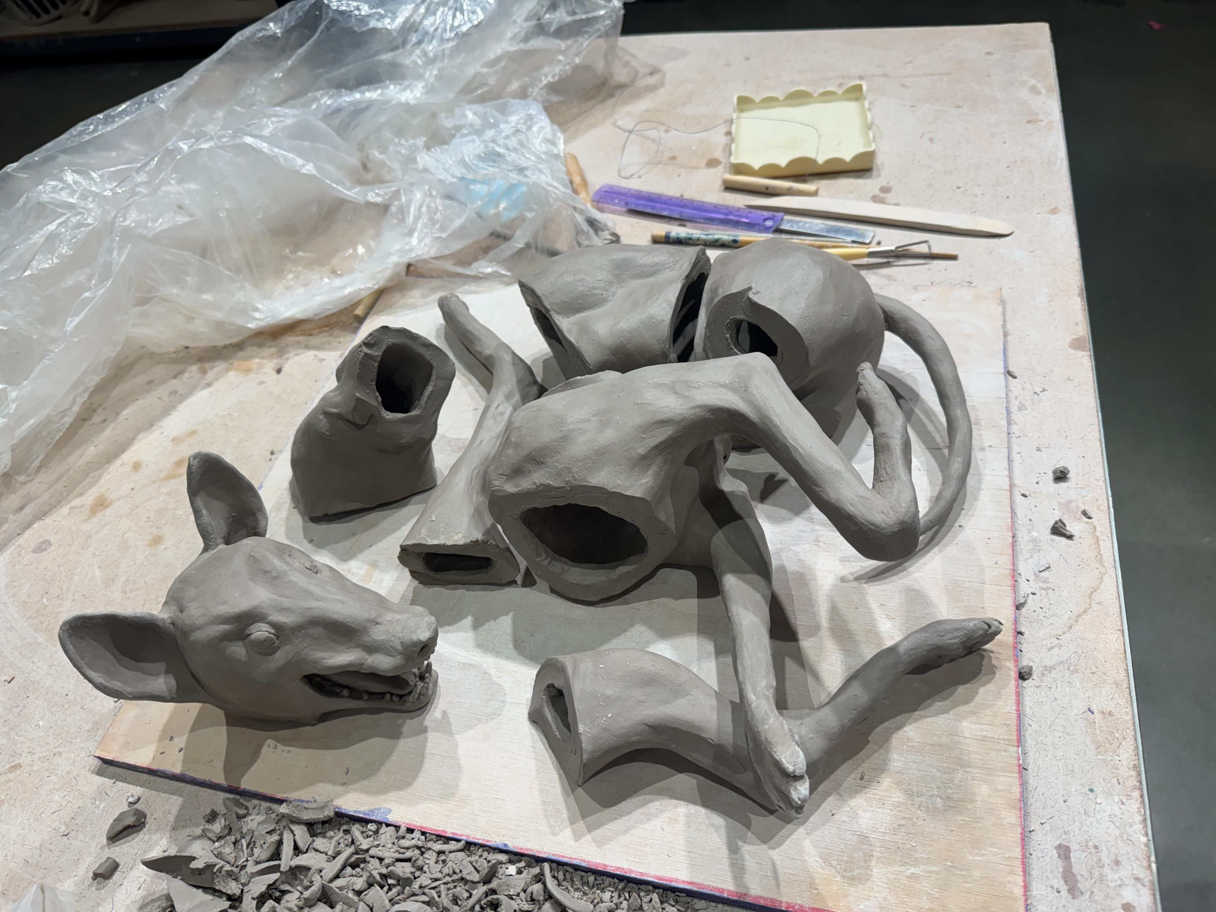 Coyote artwork - cut to pieces