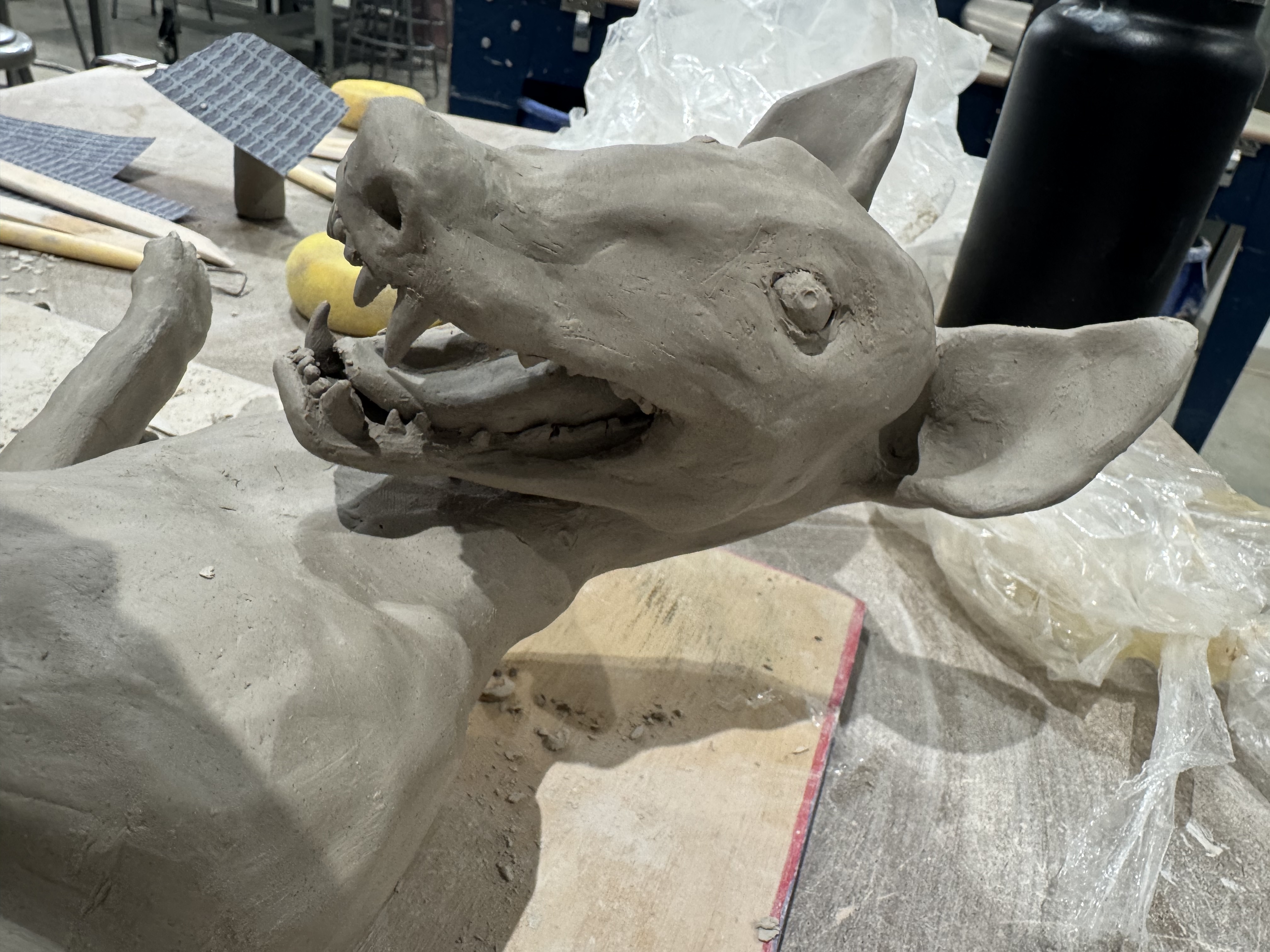 Coyote artwork - main view