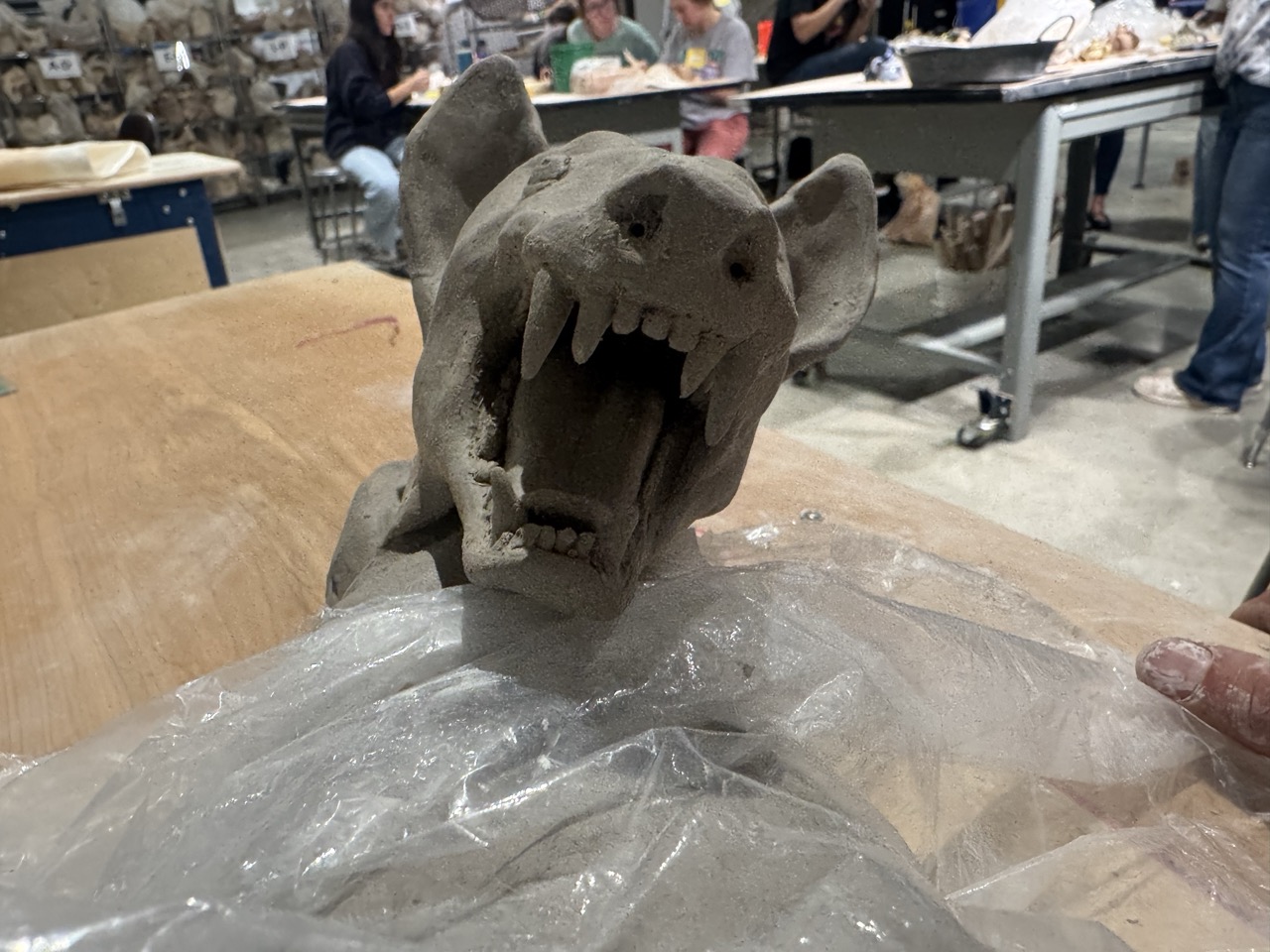 Coyote artwork - detail